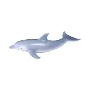 Collecta figurine Dolphin bottlenose size M COLL0015 - collectible animal model