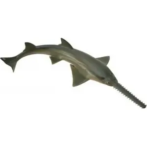 Collecta figurine 'Rekin Piła' shark collectible model by Collecta, scale unspecified
