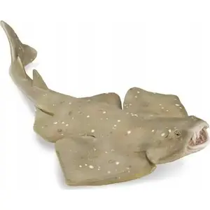 Figurine Collecta Raszpla zwyczajna by Collecta – animal model collectible figure