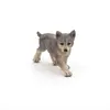 Papo Wolf Cub collectible figure 401223 Photo 4