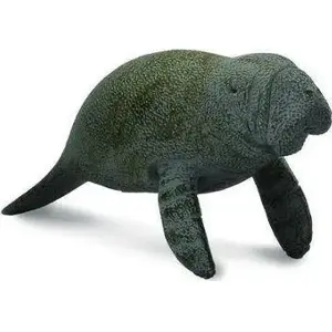Collecta Young Swimming Sea Elephant Figurine Model 004-88456, realistic collectible toy
