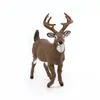 Papo White-Tailed Deer figūriņa 105,5 mm Photo 4