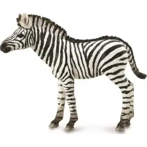 Collecta Figurka Zebra Foal collectible animal figurine by Collecta, scale not specified