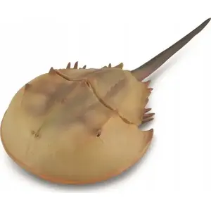 Figure Collecta Horseshoe Crab XL by Collecta — model 004-88905, large collectible animal figurine