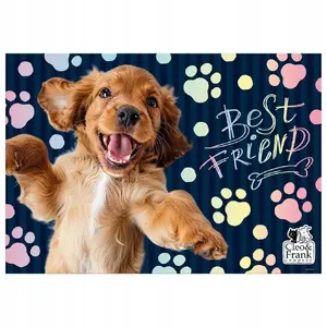 Desk Mat Derform Cleofrank 345×495 mm — model POCF44, transparent protective surface