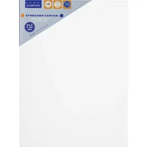STARPAK PODOBRAZIE 22.5×30 cm painting panel board, pack for school and art projects