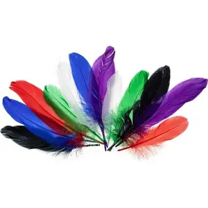 Feathers (goose) BREWIS 15–20 cm, bright colored craft and decoration feathers