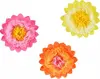 header-product