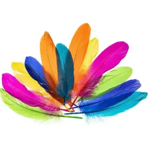 Feathers BREWIS Piórka gęsie new 15-20 cm – goose feathers 15–20 cm