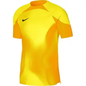 Вратарская футболка NIKE Dri-FIT ADV Gardien 4 DH7760-719 Размер XXL (193 см)