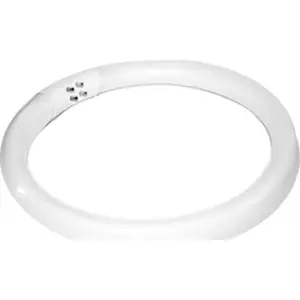Compact Fluorescent Bulb Activeshop 22W for Magnifier Lamp S4 — model 104437
