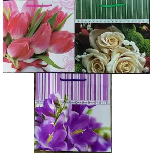 Decorative Laminated Gift Bag Panorama PL-5 set of 55 — floral design