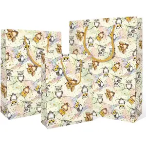 Decorative Gift Bag DaVinci Gufo Small 18x22x9 cm — paper gift bag with handles