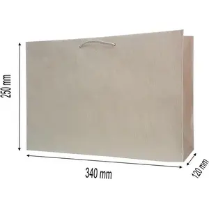 Decorative gift bag MERplus T-7 — MERplus model T-7, compact paper gift bag