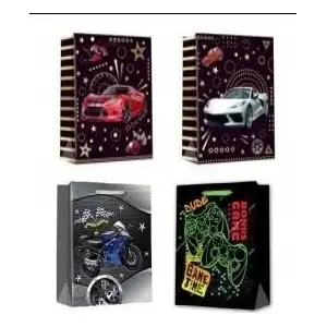 Подарочный пакет Wktorebki JYWK 22269L, бумажный с ручками, размер L, упаковка 20 шт.