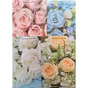 Gift bag Panorama PL-9 large laminated decorative set of 60