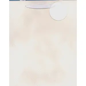 Gift bag Polsirhurt Torba prezentowa 32x26x12 cm mix colors TRB 35-2
