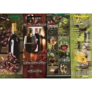 Decorative Laminated Gift Bag Panorama PL-13 set of 42 pieces