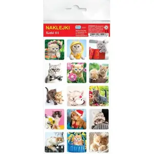 Sticker Book Wydawnictwo Jako Naklejki. Kotki — Wydawnictwo Jako, model 511793