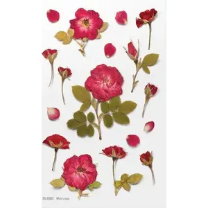 Decorative Nail Stickers Appree 13286A02851AP — Floral Rose Design