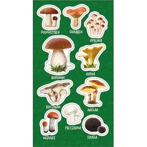 Ranok stickers — edible mushrooms set, RANOK 522340, decorative paper stickers for crafts and learning