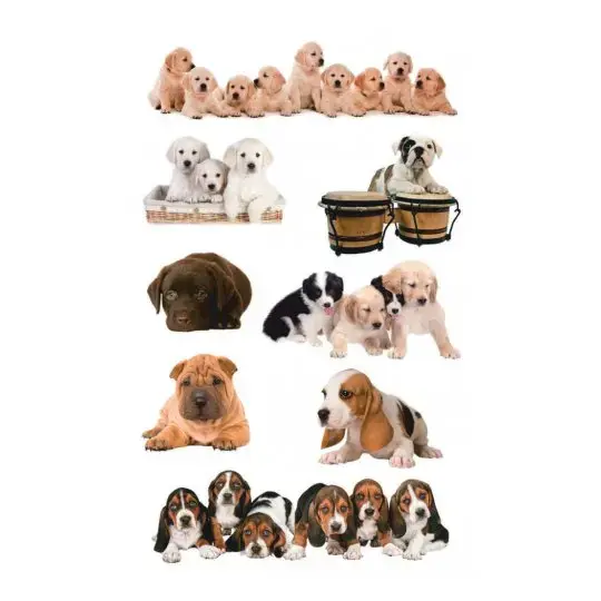 Avery Zweckform 55972 kids' stickers Photo 2