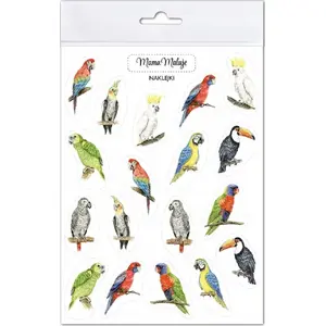 Sticker set Incood Naklejki Papugi — Incood model 634526, decorative parrot stickers