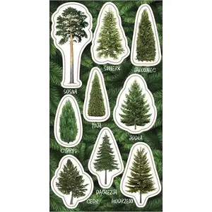 Wall stickers RANOK Ranok Naklejki Drzewa iglaste – decorative pine tree decals, sheet format (model 523004)