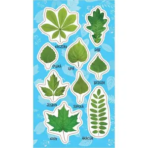 Sticker set RANOK Ranok Naklejki Wiosenne liście – decorative stickers, assorted spring leaf designs (MPN 447017)