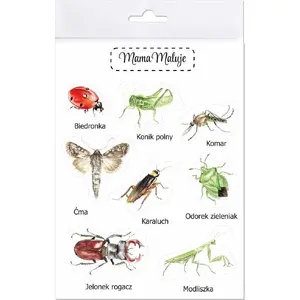 Sticker set Mama Maluje Naklejki duże Owady 1 — large insect stickers, pack by Mama Maluje