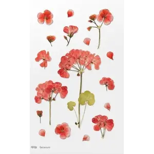 Dekoratīvās nagu uzlīmes Appree Geranium — ziedu nagu dekori