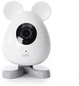 Surveillance Cameras