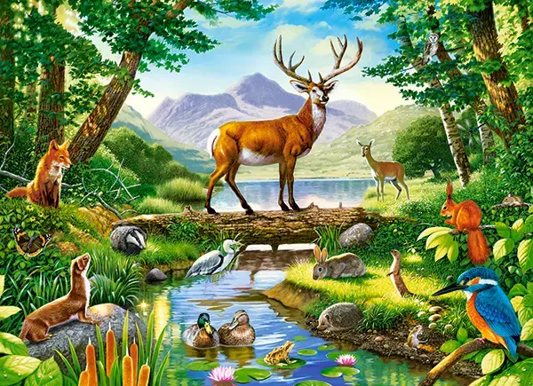 Castorland Woodland Harmony 300 pcs jigsaw puzzle Photo 2