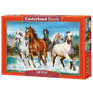 Пазл Castorland Call of Nature 2000 шт — 2000 элементов, 920×680 мм, животные (лошадь)