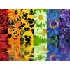 Ravensburger puzle 12000213 — 500 gab. Photo 2