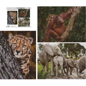 KRUPS Ambassador Wildlife Families набор 3×1000 пазлов Photo 1