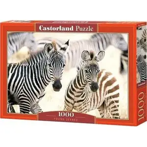 Пазл Castorland 1000 элементов — Young Zebras от Castorland