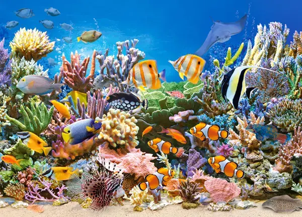 Jigsaw puzzle Castorland Colours of the ocean 260 pcs Photo 2