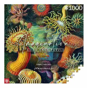 Пазл Good Loot Cenega Imagination 1000 шт, художественный мотив, ширина 683 мм