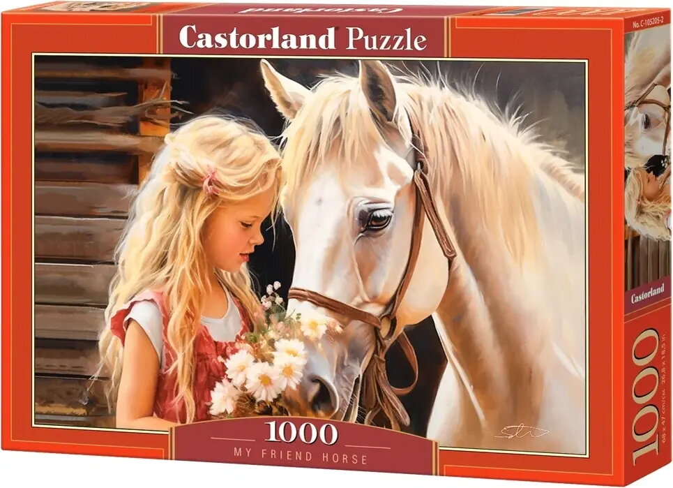 Castorland C-105205-2 Puzle 1000 gabaliņi Ainava