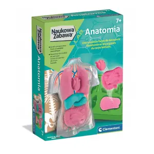 Образовательный анатомический набор Clementoni CLM ANATOMIA ZEST KREAT 50252 - модель человеческого тела