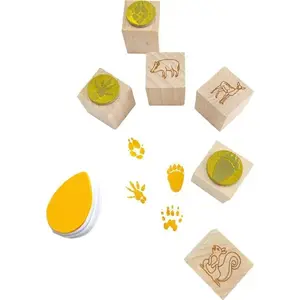 Colorado Stemple ślady w lesie — Colorado board game, family game based on nature theme
