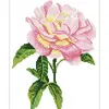 Набор Diamond Dotz Pink Rose для алмазной мозаики Photo 2