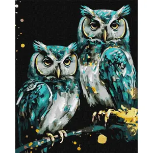 Krāsošana pēc numuriem Norimpex Mądre sowy, 40x50 cm