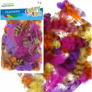 Craft with Fun decorative feathers CF764 — mixed craft feathers for decoration, 2 g pack