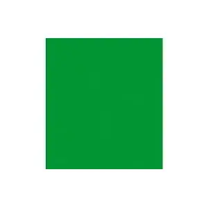 Decorative felt sheets Polsirhurt 20 x 30 cm green pack of 10