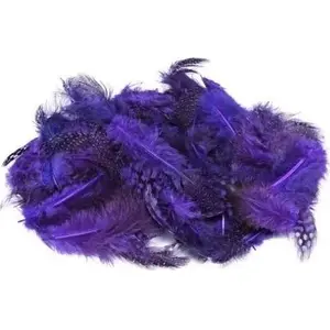 Christmas decoration BREWIS Piórka nakrapiane fioletowy 3 g – decorative feathers