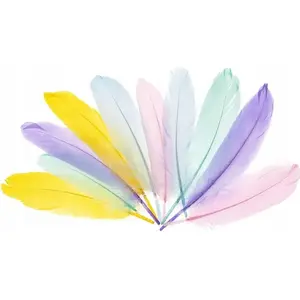 Feathers FANDY 15–20 cm goose feathers pastel — decorative craft feathers