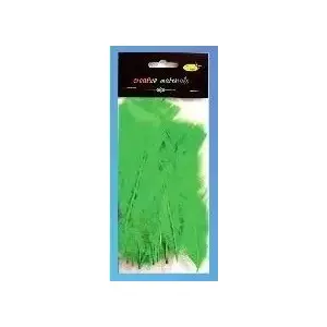 Feathers PartyDeco soft light green 15 pcs – decorative craft feathers