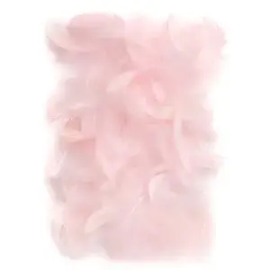 Decorative Feathers DP Craft 5–12 cm, Pink, pack CEPI-018